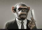 monkey gun